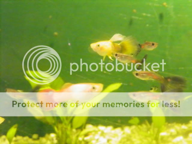 100_2055.jpg