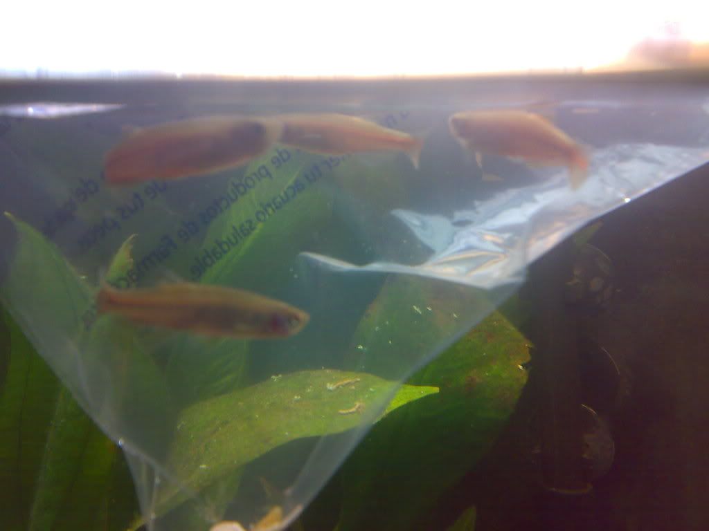 09012009016.jpg