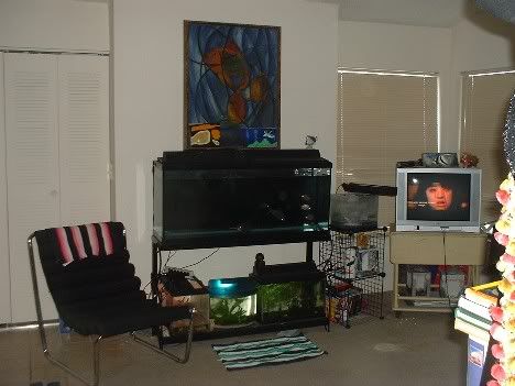 livingroom.jpg