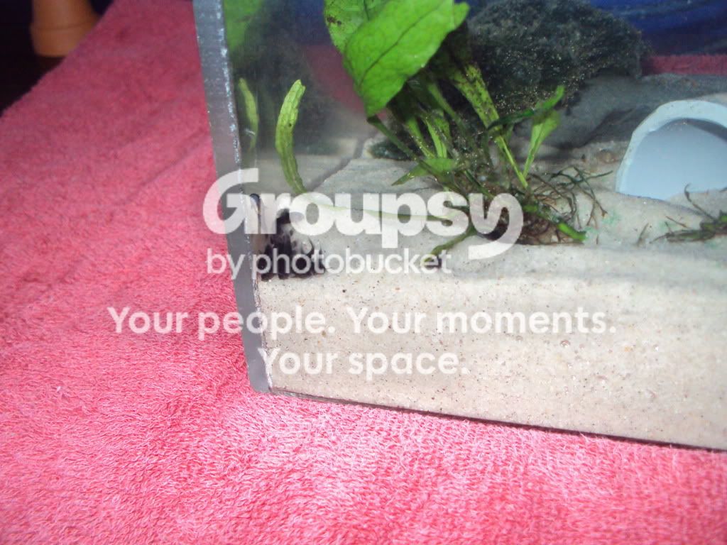 DSC03126.jpg