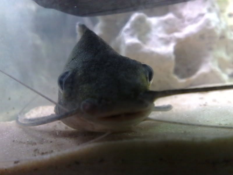 25072009150-Copy.jpg