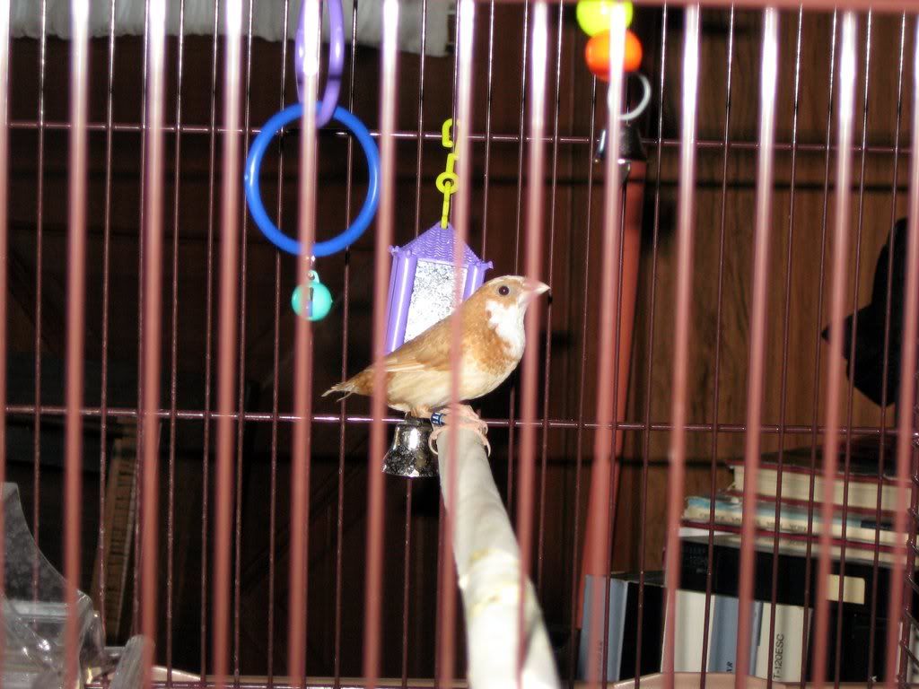 IMG_23481.jpg