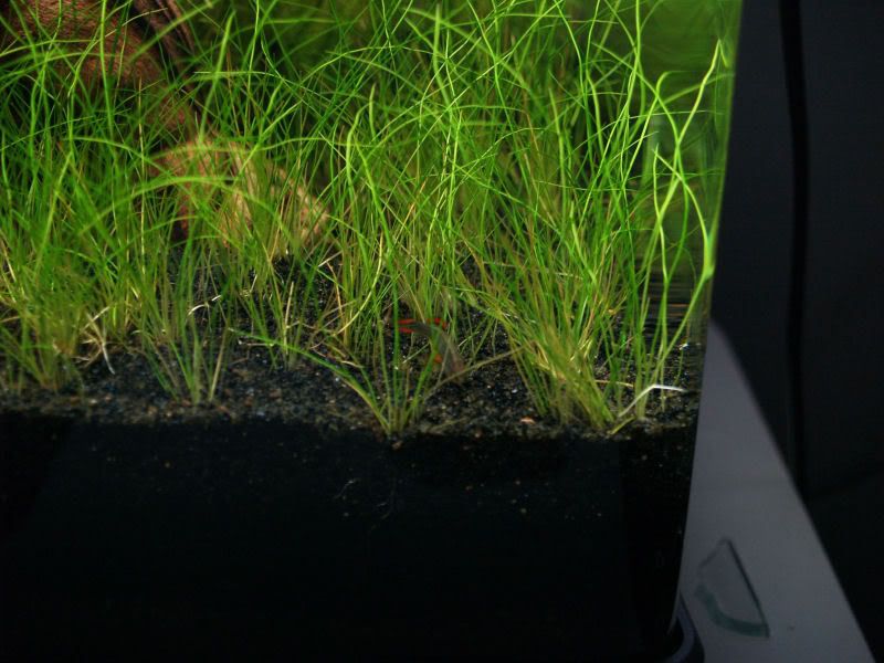 Cleancube005.jpg