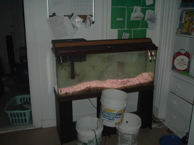 DSCF0780.jpg