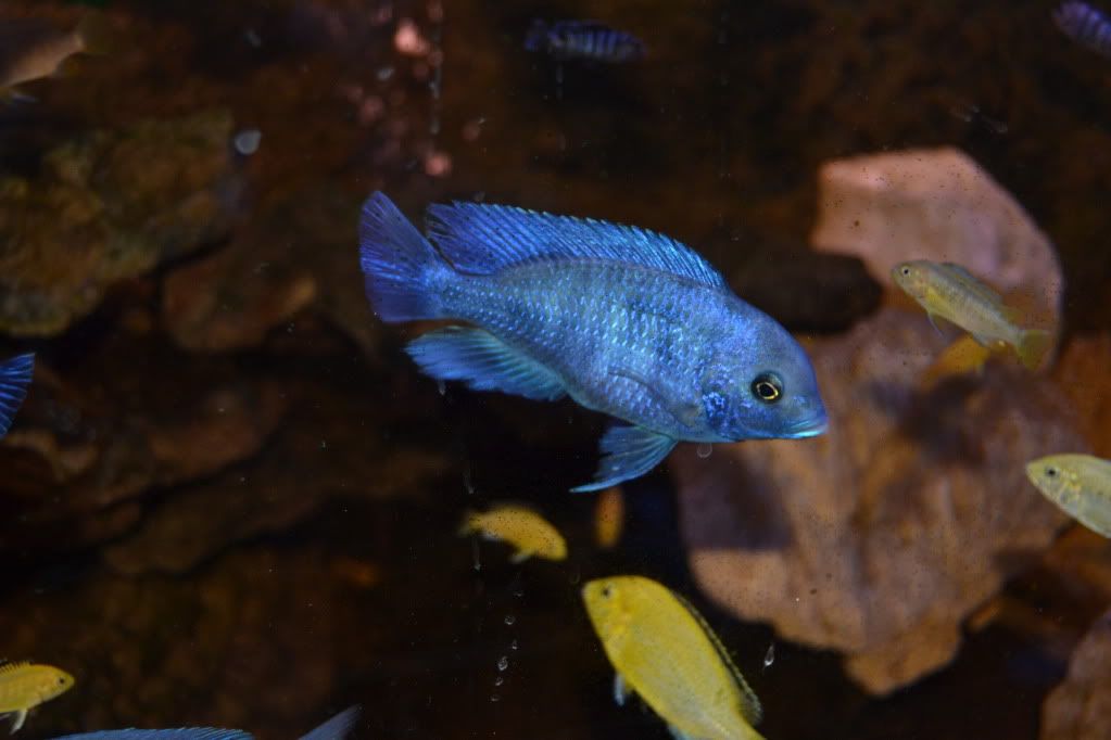 DSC_0057.jpg
