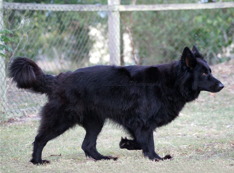 Nika7thDec20121j.jpg
