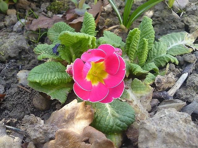 Photo1243.jpg