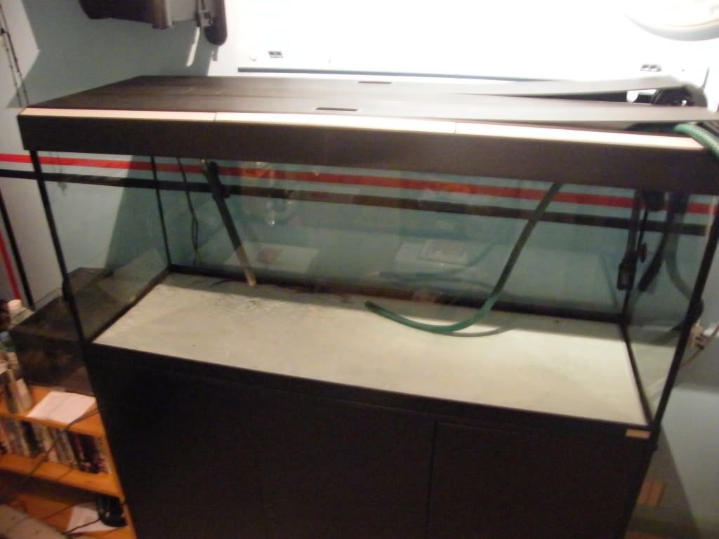 DSCF4564.jpg
