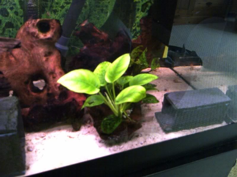 IMG-20110708-00121.jpg