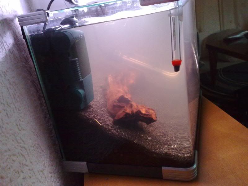23022009042.jpg