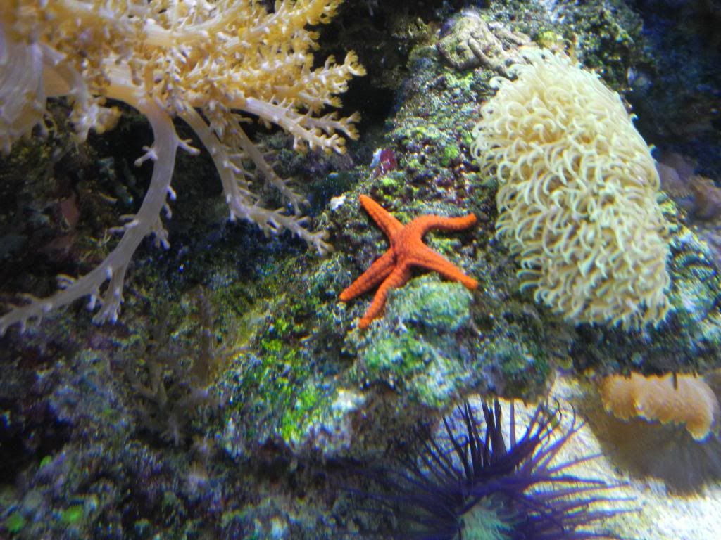 DSCN0195.jpg