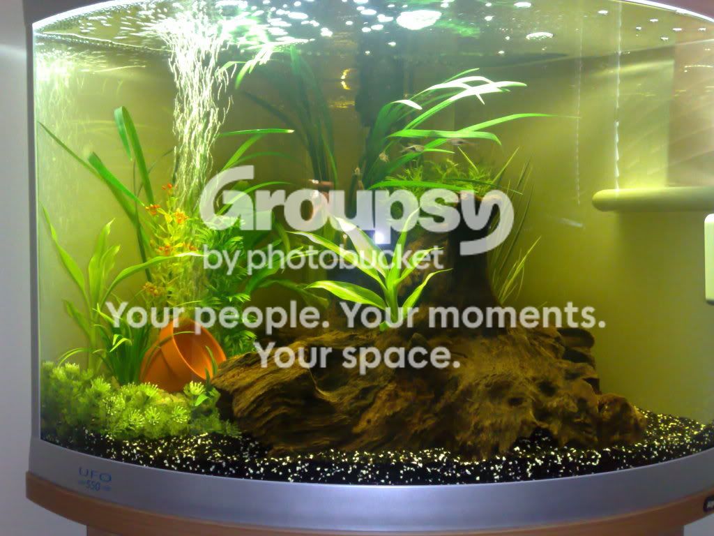 27082008145.jpg