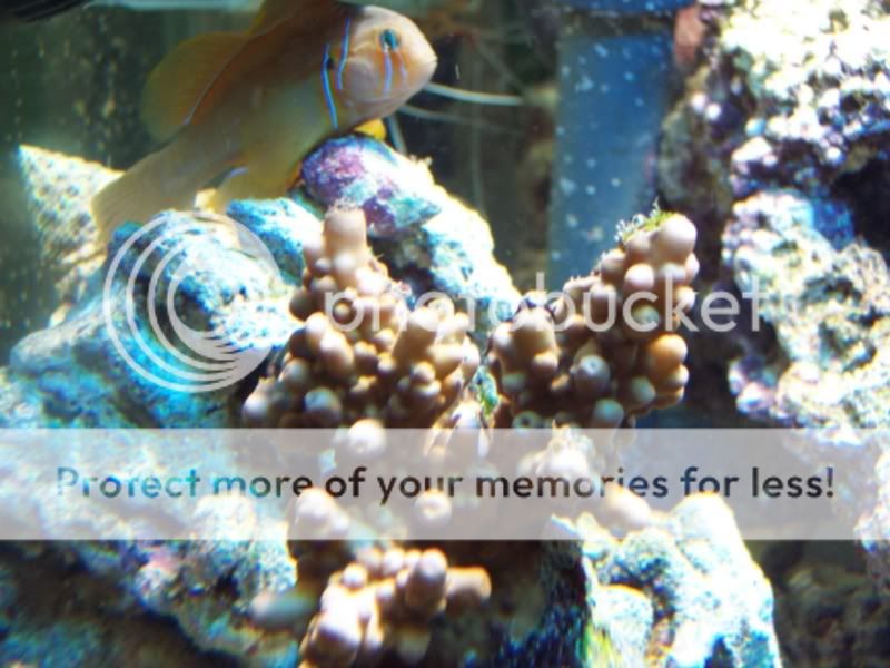 100_5019.jpg