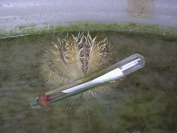 tub2.jpg