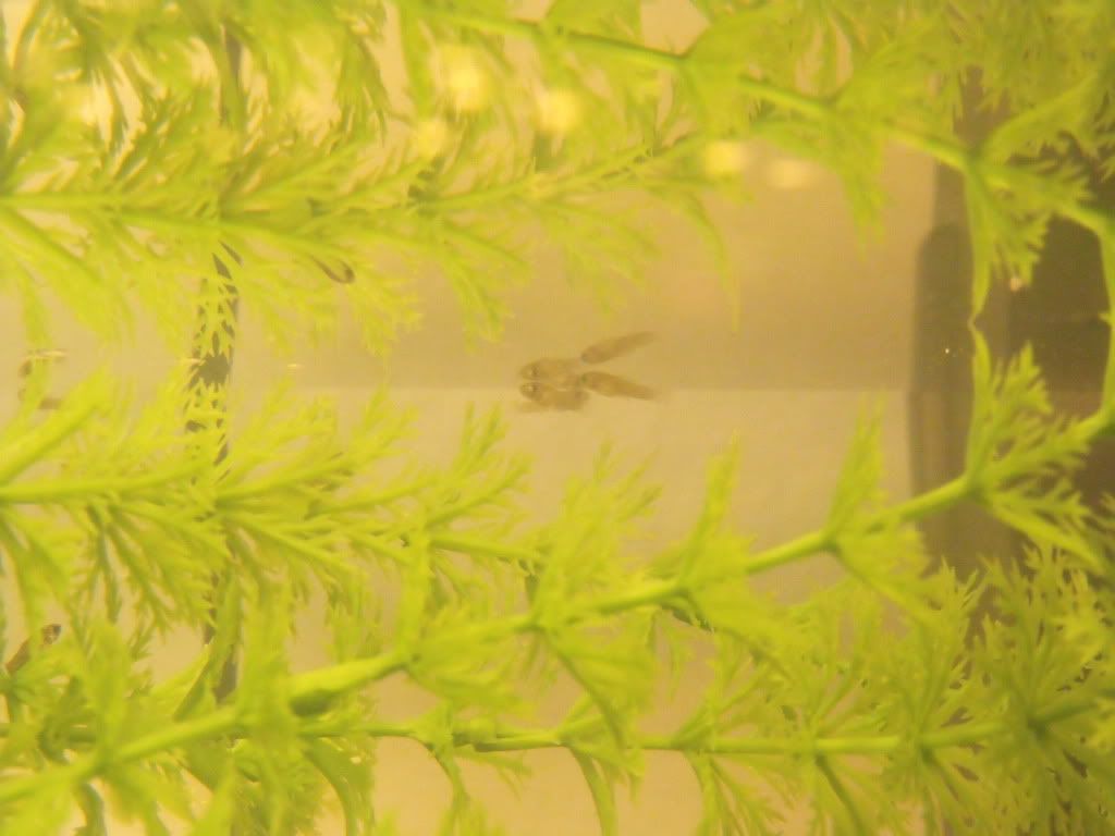 DSCF6822.jpg