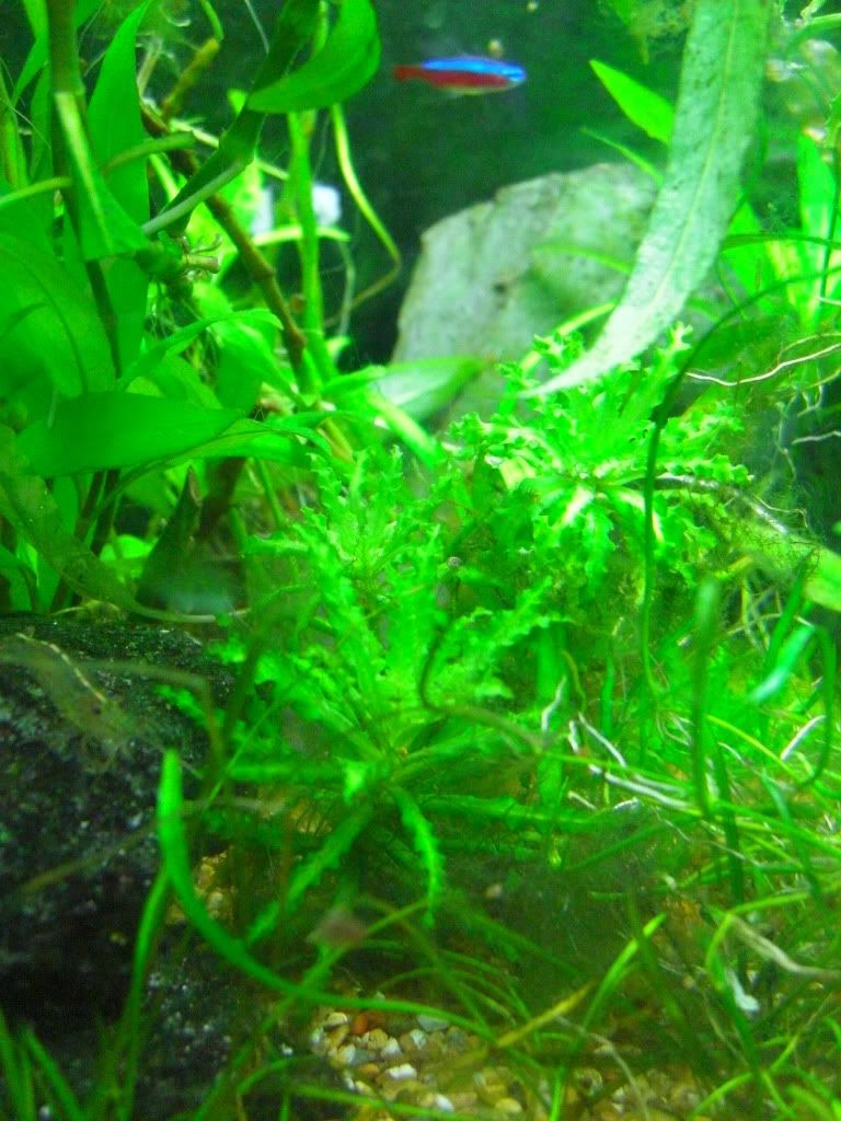 20120426_005.jpg
