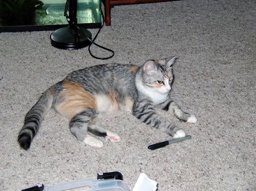 DSCN4856.jpg