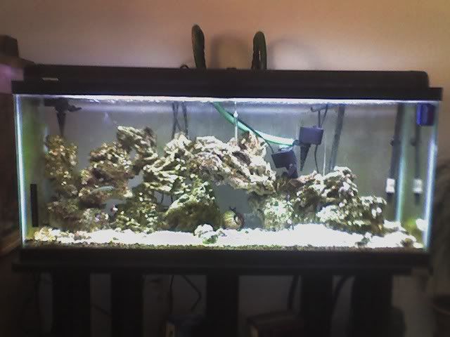 FullTankPicture.jpg