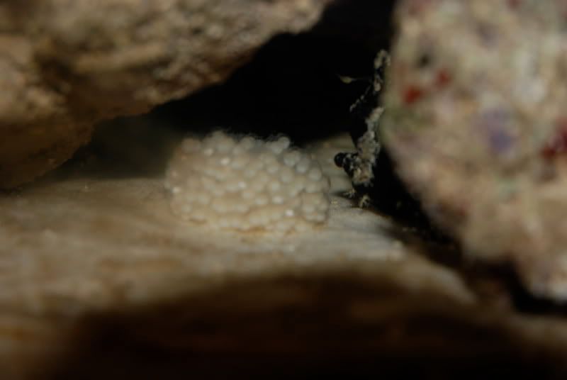 DSC_5161.jpg