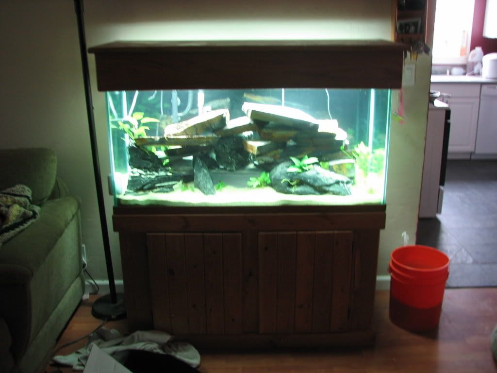 FishTank035.jpg