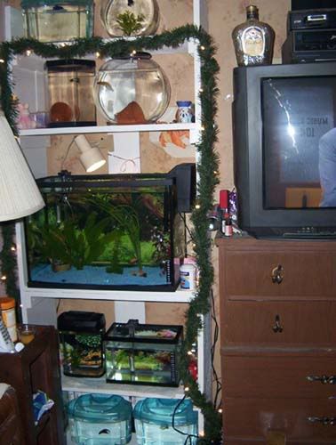 000_0533.jpg
