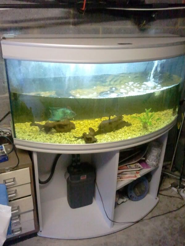 4ft.jpg
