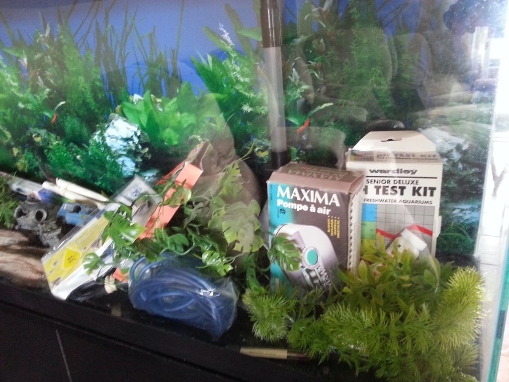 20120812_140657.jpg