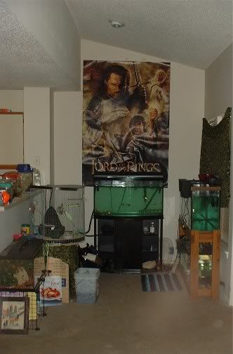 livingroom2.jpg