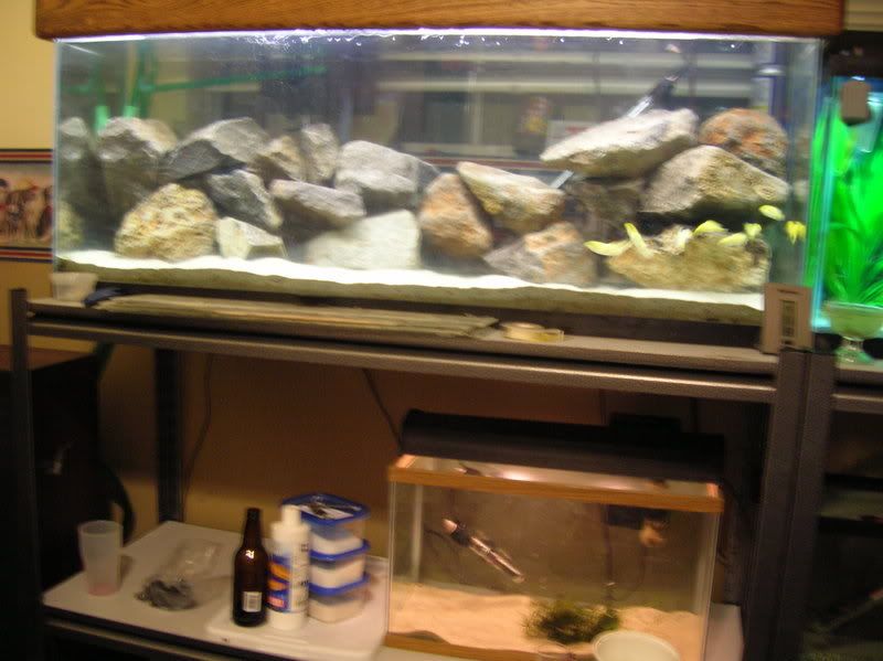 DSCN1182.jpg