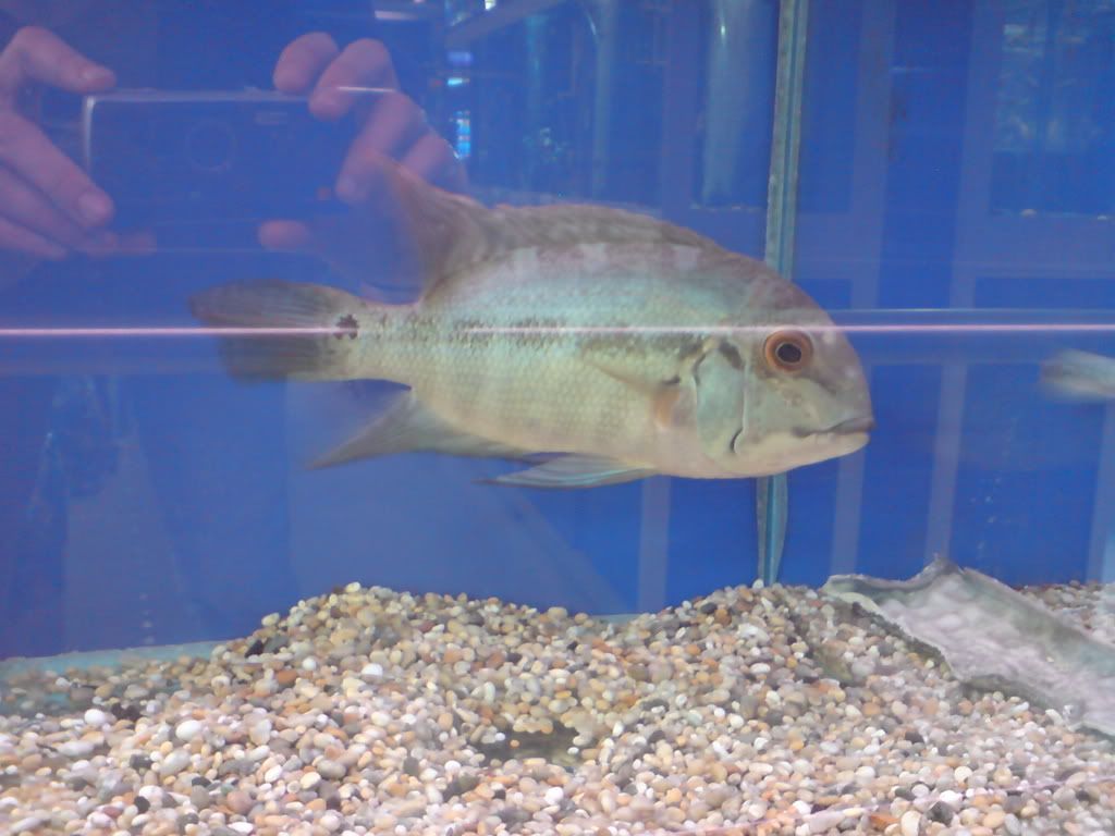DSC02032.jpg