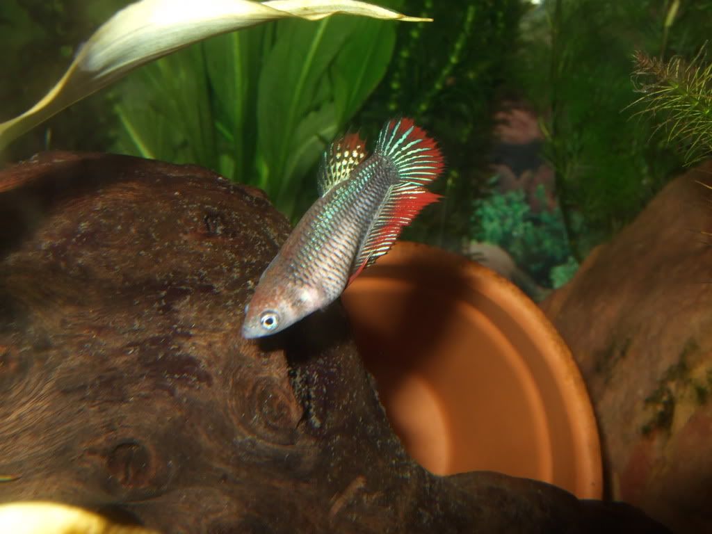 DSCF5325.jpg