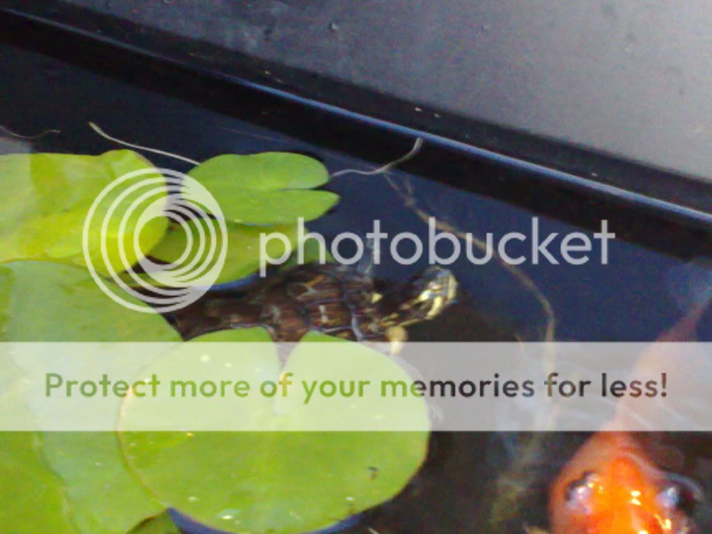 02072009500.jpg