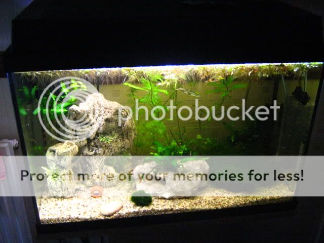 019-4.jpg