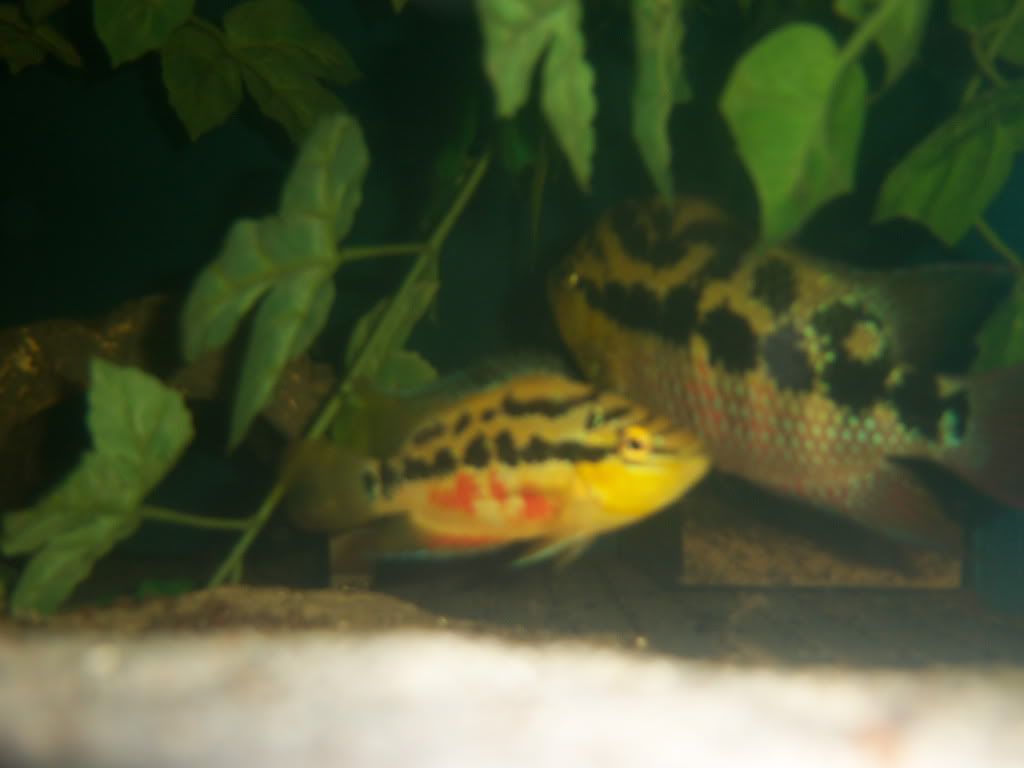 100_2605.jpg