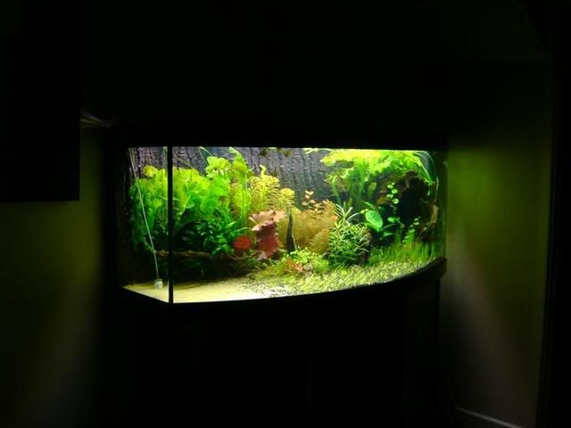 IMAG0012-2.jpg