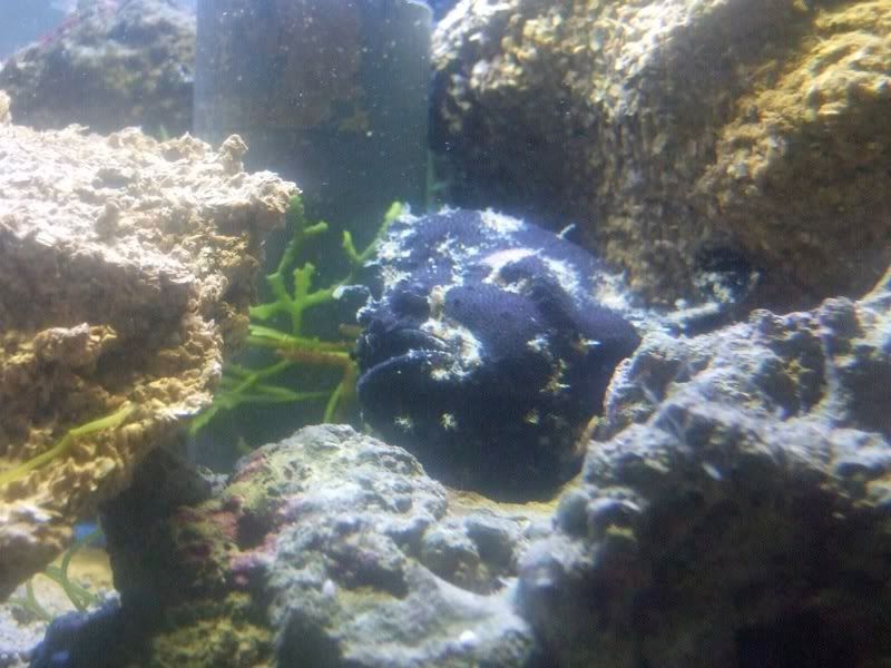 DSCF4532.jpg