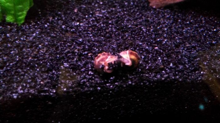 2013-03-20104124_zpsb15539c0.jpg