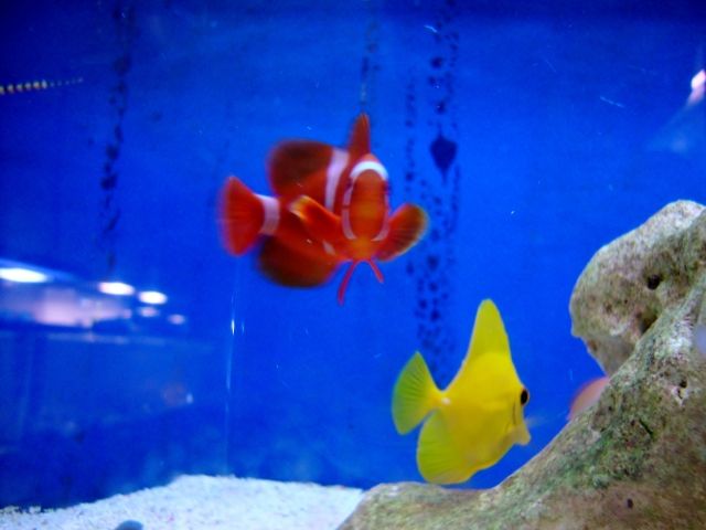 DSC01381.jpg