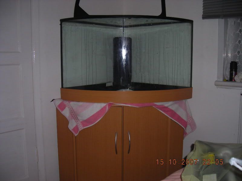 DSCN0248.jpg