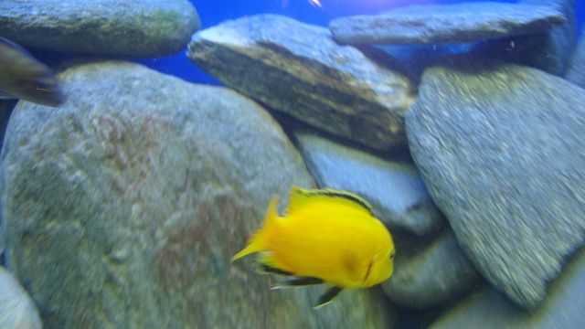 DSC02965.jpg