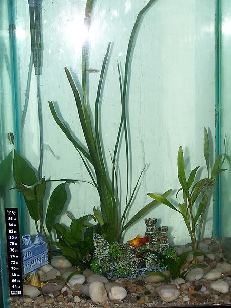 100_1706.jpg