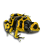 dart3-1-1.png