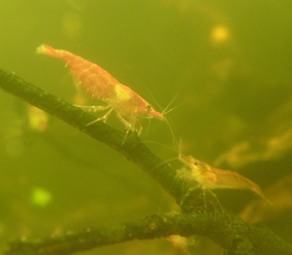 S7003639.jpg