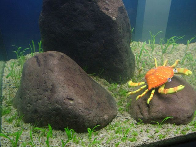 DSCF1118.jpg
