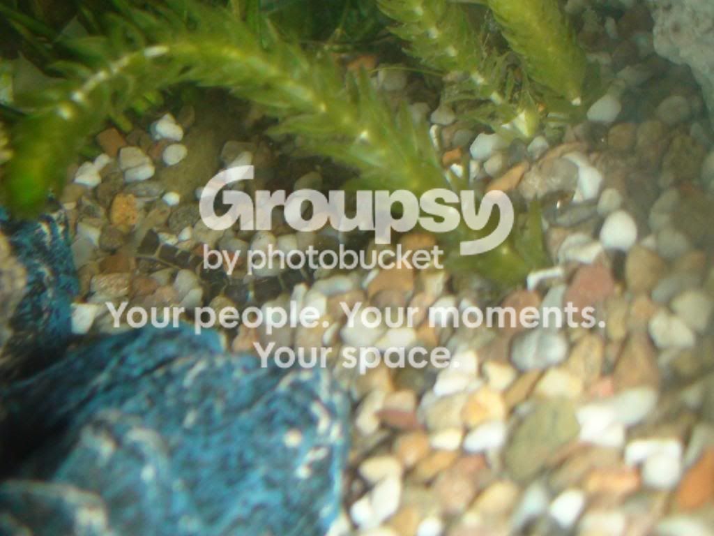 DSC01000.jpg