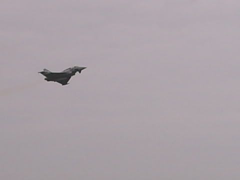 S5005934.jpg