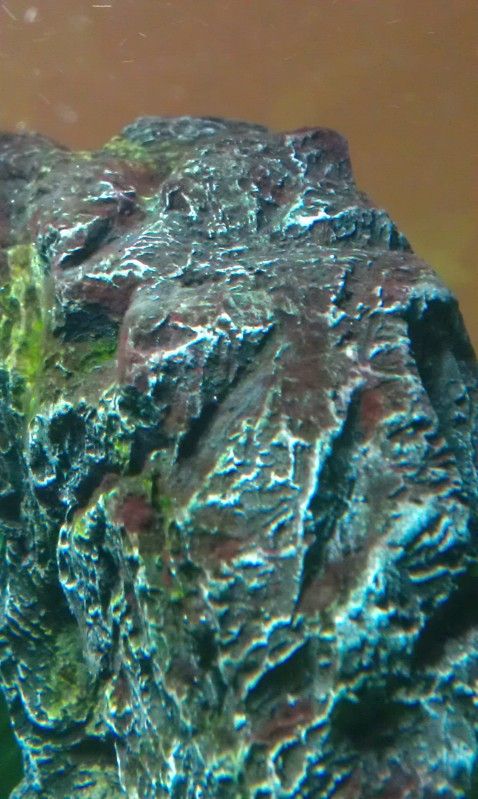 2012-04-15212221.jpg