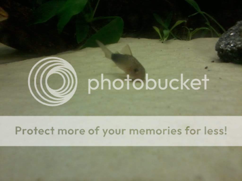 2011-02-26141830-1.jpg