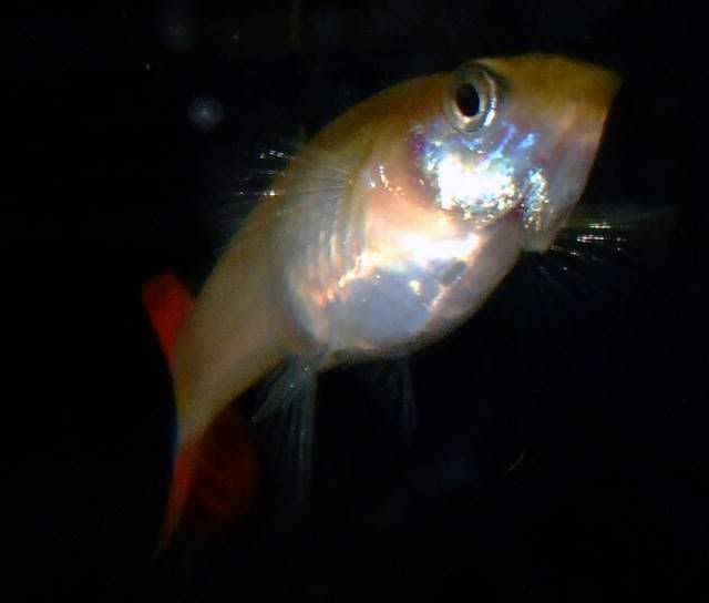 DSCF4112.jpg