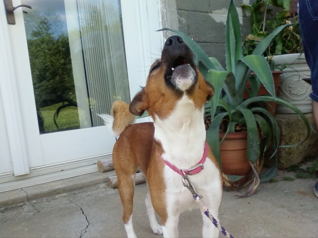 Photo0007.jpg